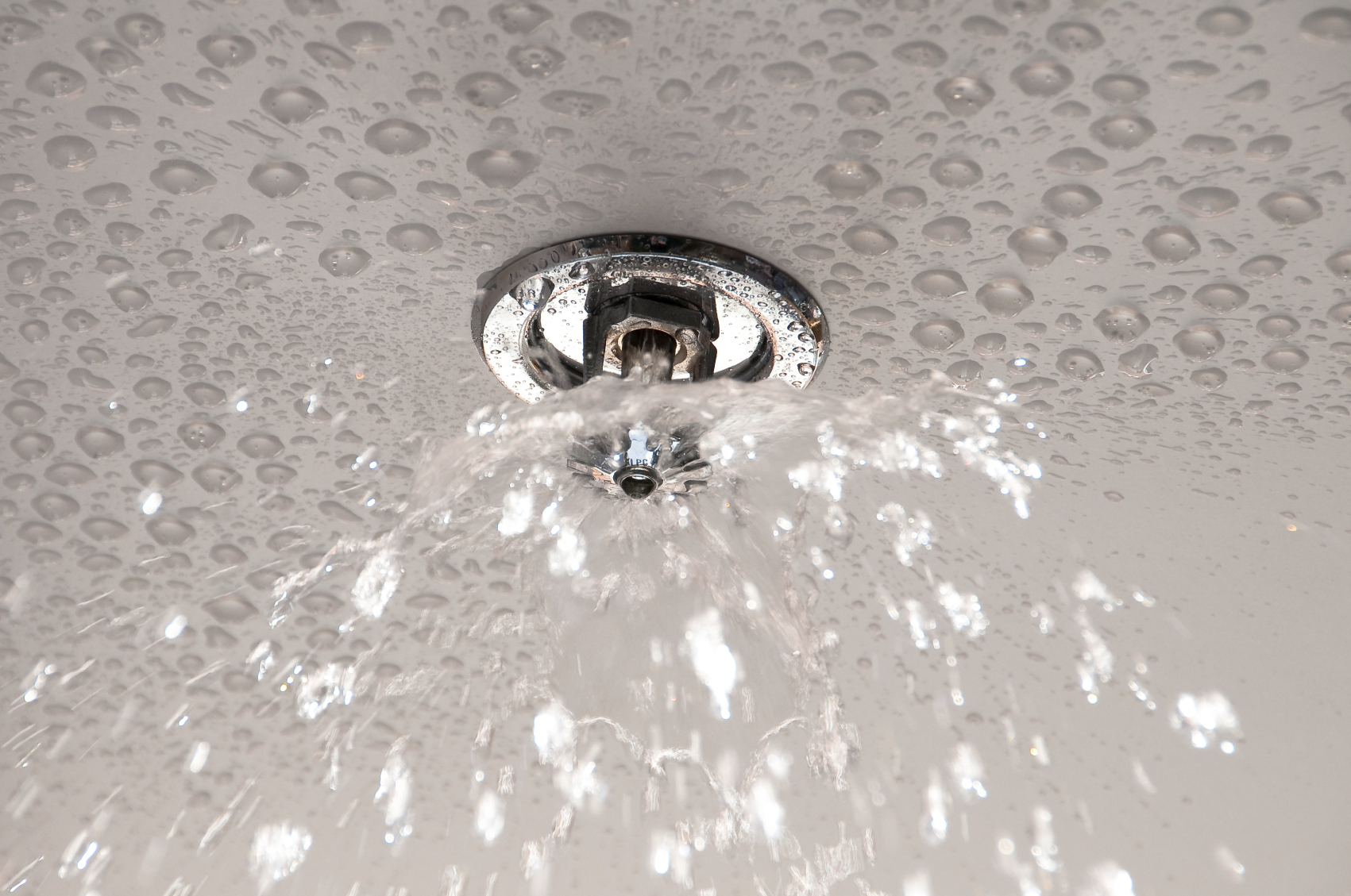 Which Fire Sprinkler System Is Best for Your Business?